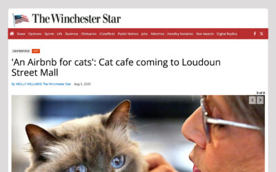 The Winchester Star: “An Airbnb for Cats” Coming to Loudoun Street Mall